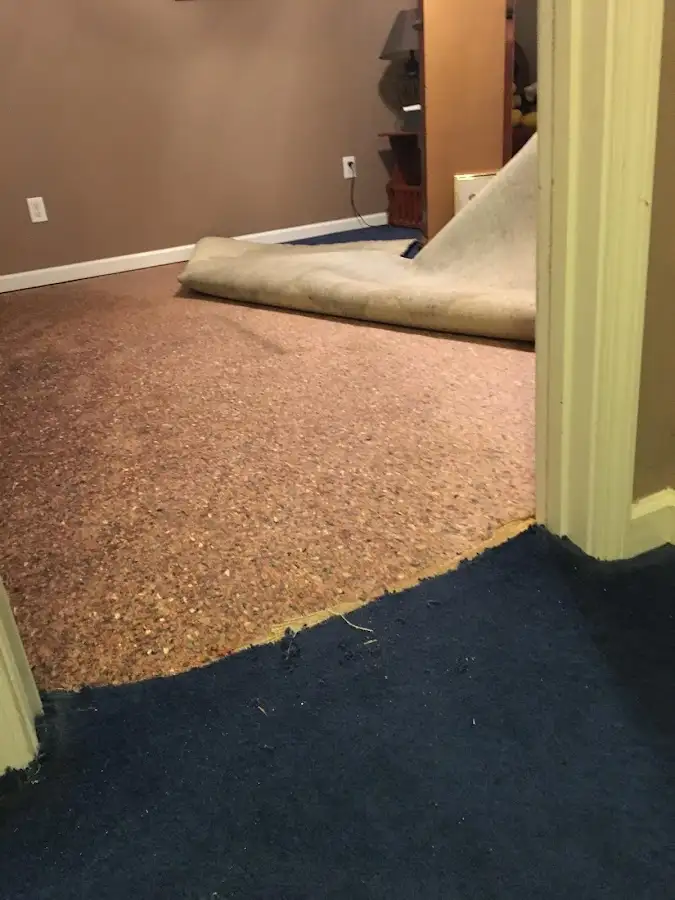 Carpet pad removal revealing water damage during Drying & Dehumidification in Oceanport